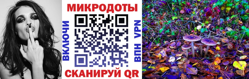 Псилоцибиновые грибы Cubensis  продажа наркотиков  Заводоуковск 